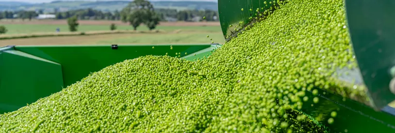 Food and Drink Processing Scheme Scotland - How to Apply Webinar