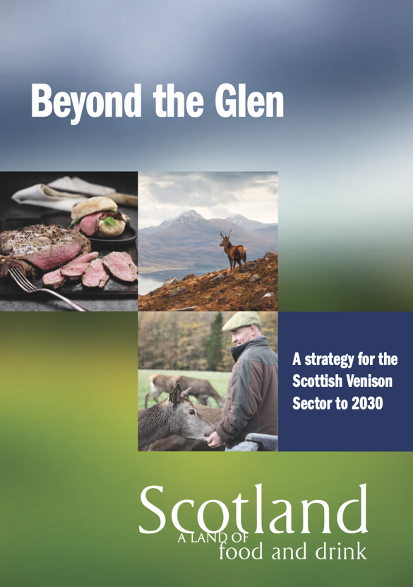 Beyond The Glen Cover